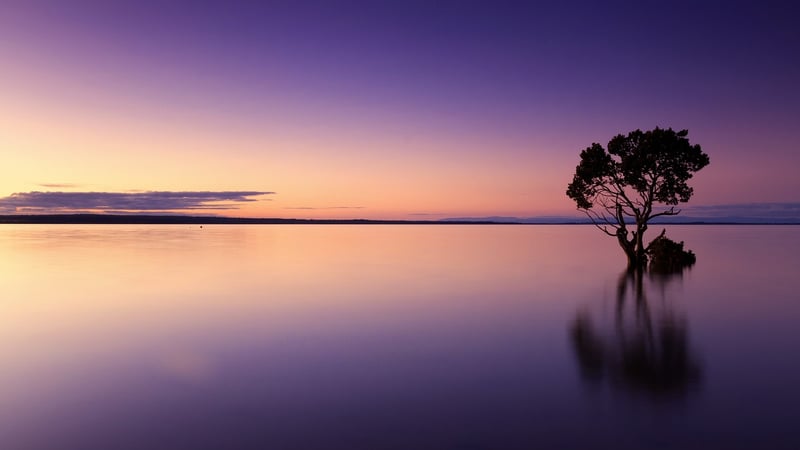 Tai Chi Sunset Image